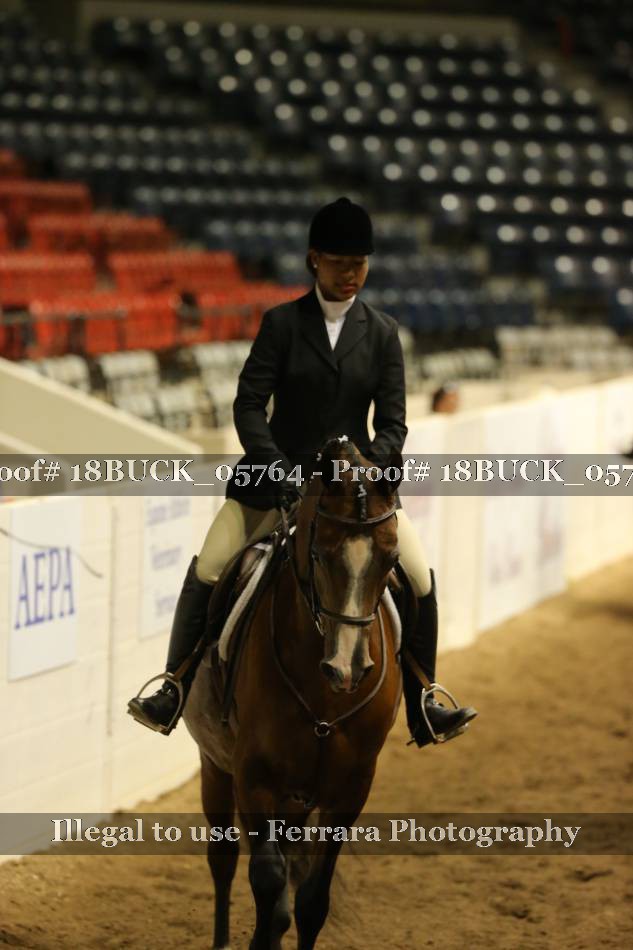 Proof 18BUCK_05764