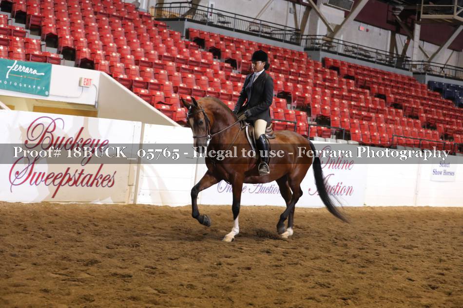 Proof 18BUCK_05765