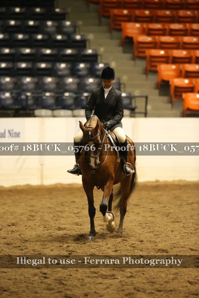 Proof 18BUCK_05766