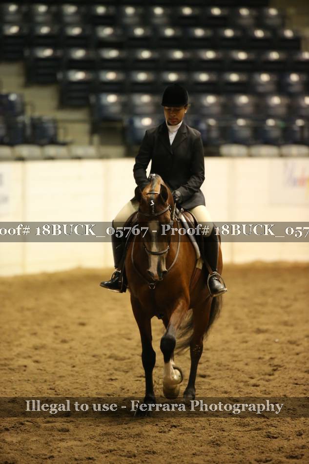 Proof 18BUCK_05767