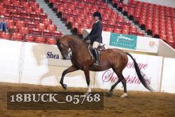 18BUCK_05768 proof