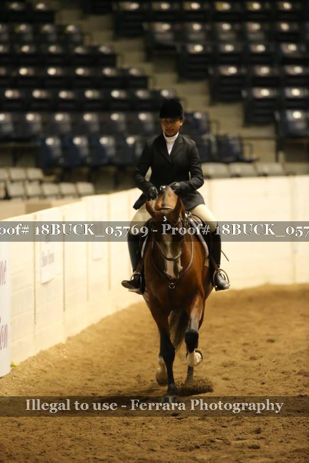 Proof 18BUCK_05769