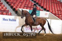 18BUCK_05770 proof