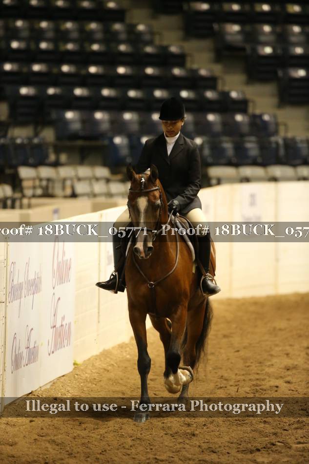 Proof 18BUCK_05771