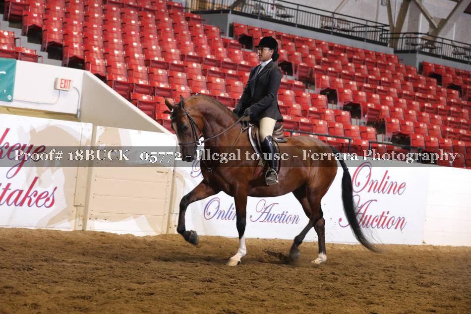 Proof 18BUCK_05772