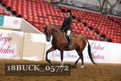 18BUCK_05772 proof