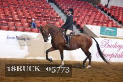 18BUCK_05773 proof
