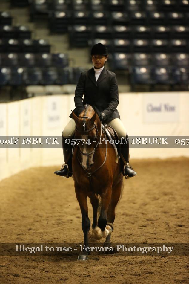 Proof 18BUCK_05774