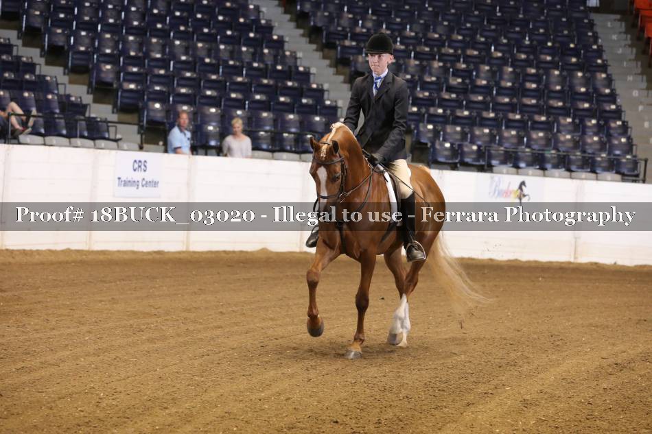Proof 18BUCK_03020