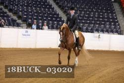 18BUCK_03020 proof