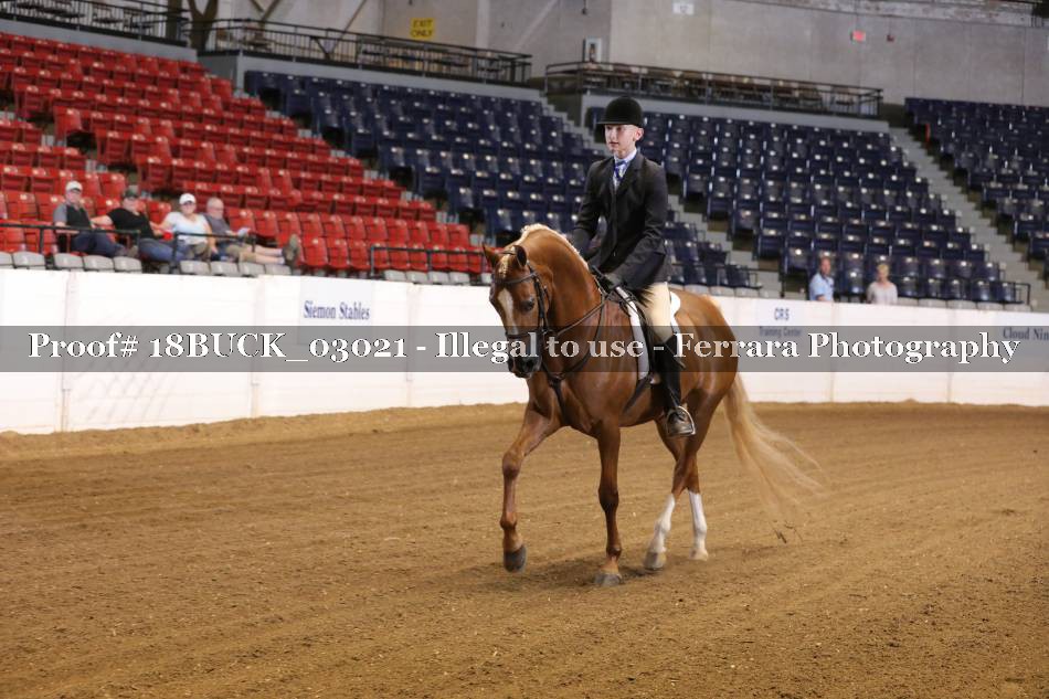 Proof 18BUCK_03021