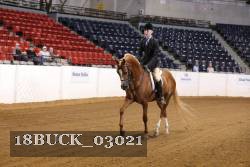18BUCK_03021 proof