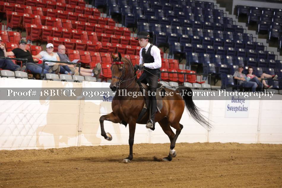 Proof 18BUCK_03023