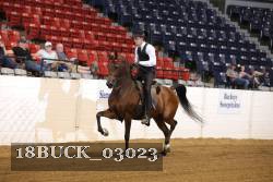 18BUCK_03023 proof