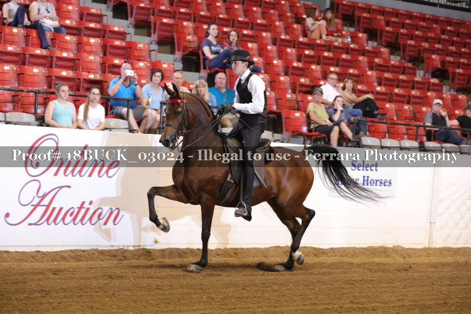 Proof 18BUCK_03024