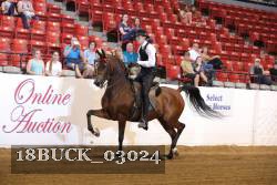 18BUCK_03024 proof