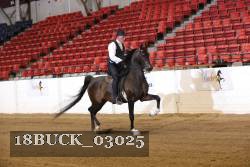 18BUCK_03025 proof