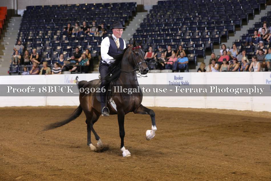 Proof 18BUCK_03026