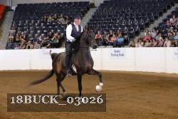 18BUCK_03026 proof