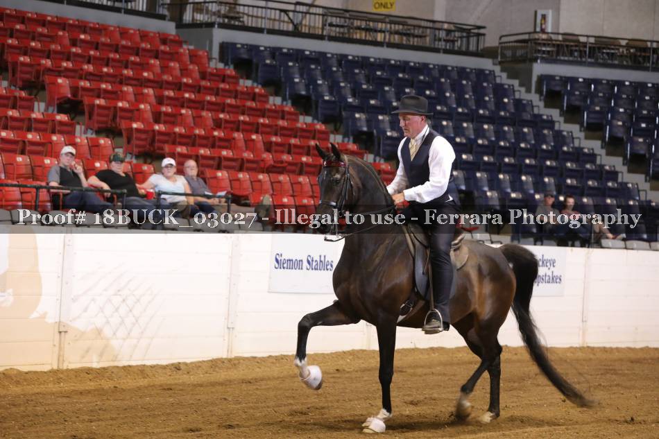Proof 18BUCK_03027