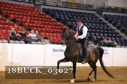 18BUCK_03027 proof