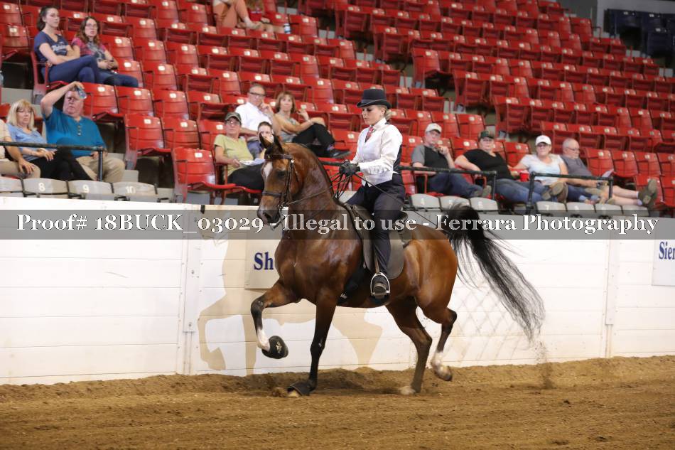 Proof 18BUCK_03029