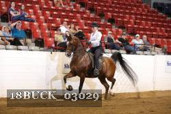 18BUCK_03029 proof