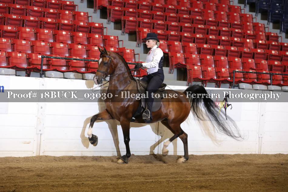 Proof 18BUCK_03030