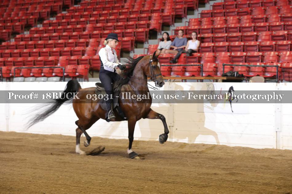 Proof 18BUCK_03031