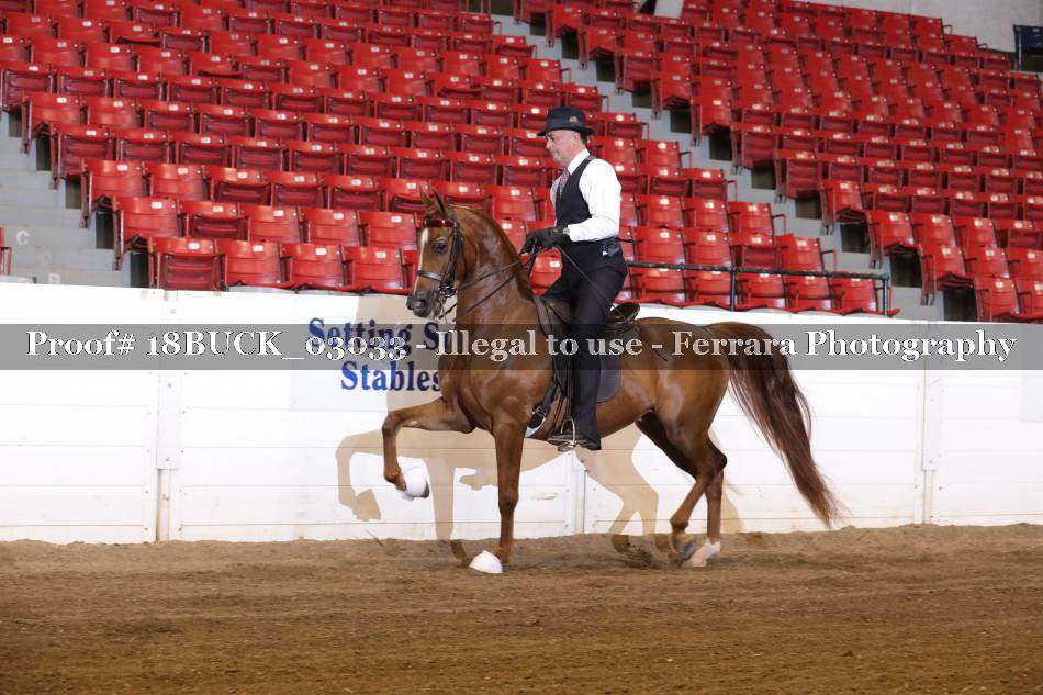 Proof 18BUCK_03033