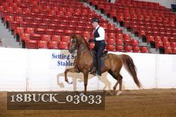 18BUCK_03033 proof