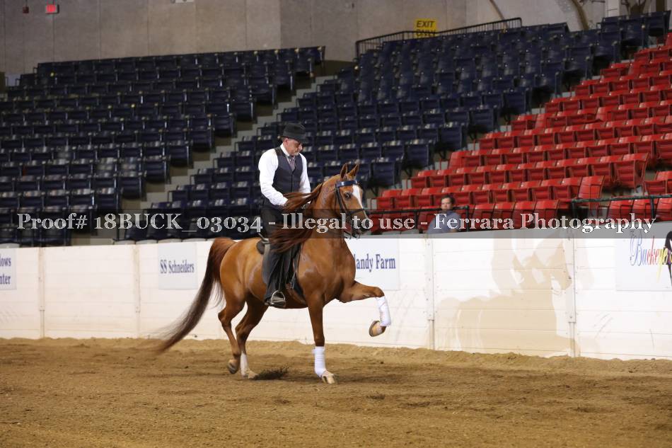 Proof 18BUCK_03034