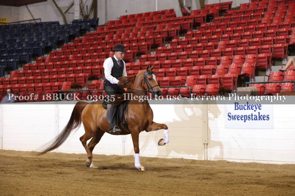 Proof 18BUCK_03035