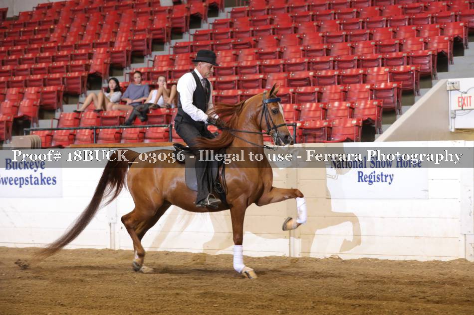 Proof 18BUCK_03036