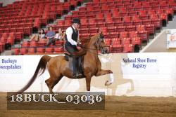 18BUCK_03036 proof