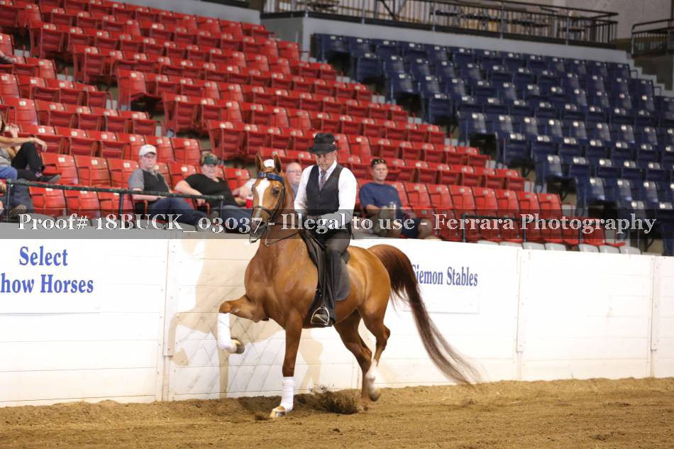 Proof 18BUCK_03037