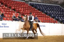 18BUCK_03037 proof