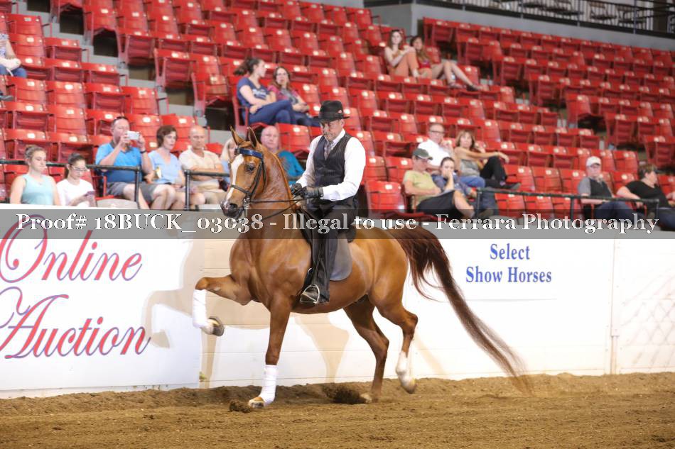 Proof 18BUCK_03038