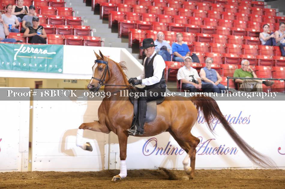 Proof 18BUCK_03039