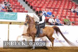 18BUCK_03039 proof