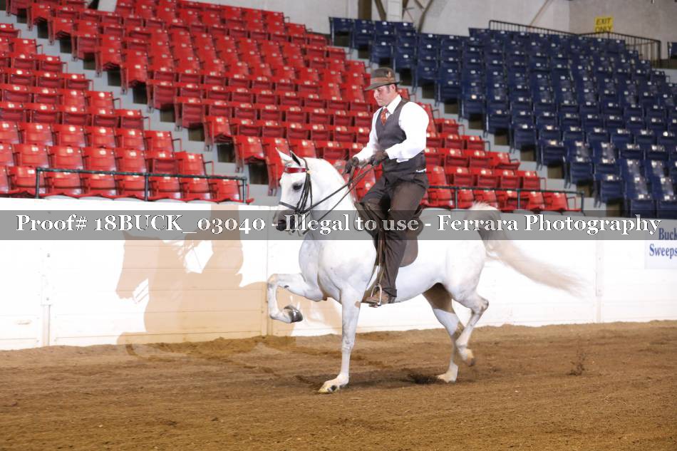 Proof 18BUCK_03040