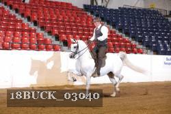 18BUCK_03040 proof
