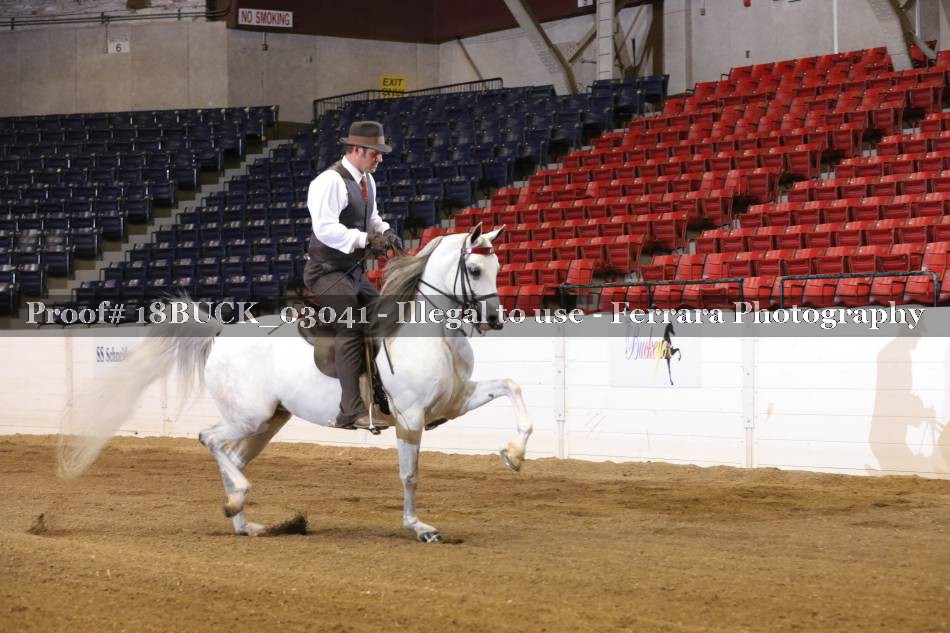 Proof 18BUCK_03041