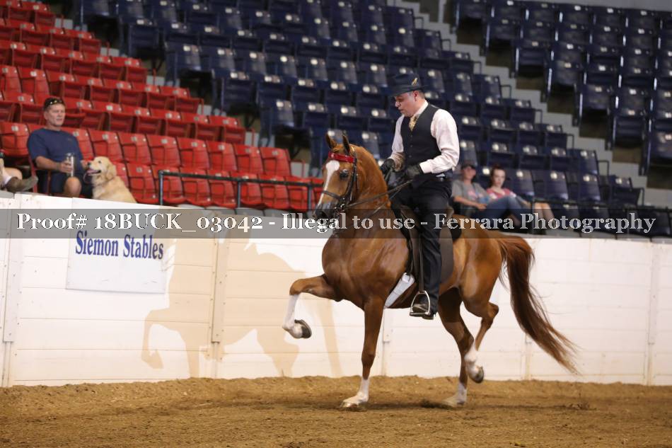 Proof 18BUCK_03042