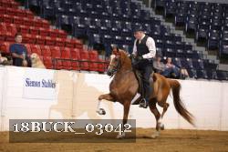 18BUCK_03042 proof