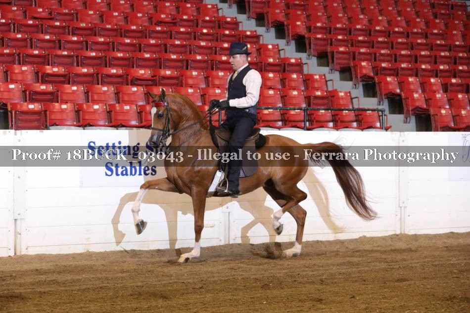 Proof 18BUCK_03043