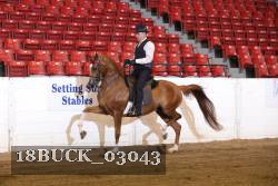 18BUCK_03043 proof