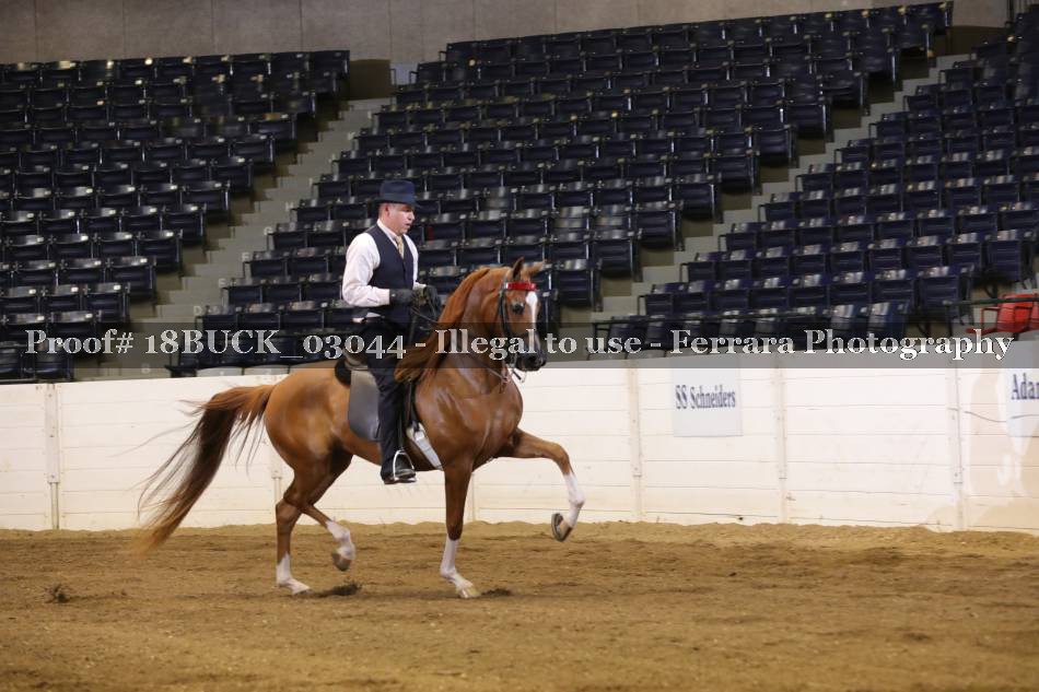 Proof 18BUCK_03044