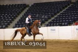 18BUCK_03044 proof