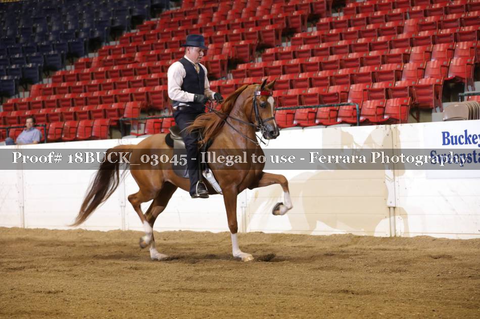 Proof 18BUCK_03045